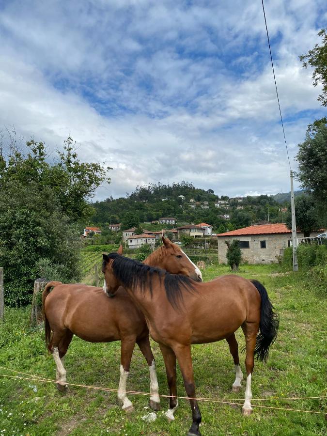 Mariana'S Heartmade House ξενώνας Caldelas Εξωτερικό φωτογραφία